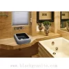 Black Granite Bar and Bathroom Sink