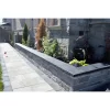 Black Granite Coping