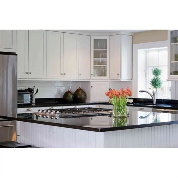 Black Granite Countertops