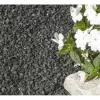 Black Granite Gravel