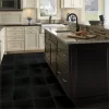 Chinese Natural Mongolian Absolute Black Granite Black Floor Tile