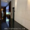 Dark Black Granite Slabs for Paving floor