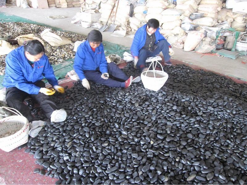 High Polished Black Pebbles For Landscaping