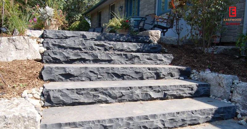 Landscapes Absolute Black Granite Steps